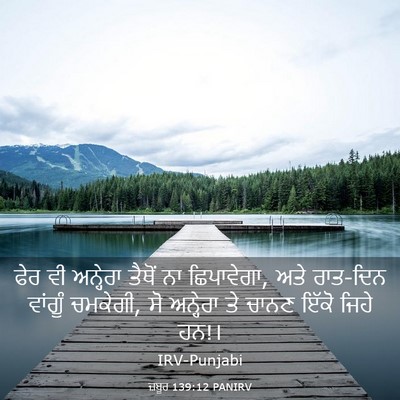 Picture 03 - ਜ਼ਬੂਰ 139:12 PANIRV - ਫੇਰ ਵੀ ਅਨ੍ਹੇਰਾ - Bible Verse Picture