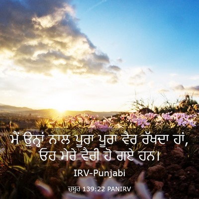 Picture 03 - ਜ਼ਬੂਰ 139:22 PANIRV - ਮੈਂ ਉਨ੍ਹਾਂ ਨਾਲ - Bible Verse Picture
