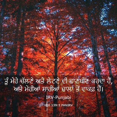 Picture 03 - ਜ਼ਬੂਰ 139:3 PANIRV - ਤੂੰ ਮੇਰੇ ਚੱਲਣੇ ਅਤੇ - Bible Verse Picture