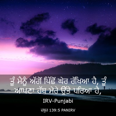 Picture 03 - ਜ਼ਬੂਰ 139:5 PANIRV - ਤੂੰ ਮੈਨੂੰ ਅੱਗੋਂ - Bible Verse Picture