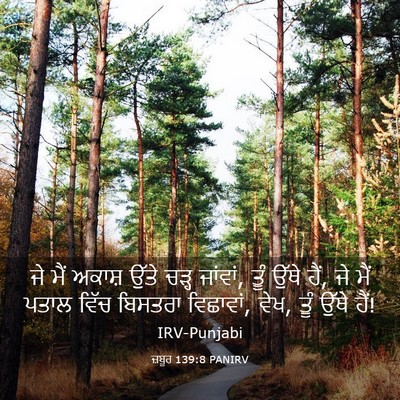 Picture 03 - ਜ਼ਬੂਰ 139:8 PANIRV - ਜੇ ਮੈਂ ਅਕਾਸ਼ ਉੱਤੇ - Bible Verse Picture