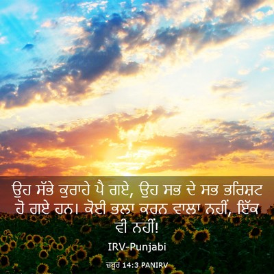 Picture 03 - ਜ਼ਬੂਰ 14:3 PANIRV - ਉਹ ਸੱਭੇ ਕੁਰਾਹੇ ਪੈ - Bible Verse Picture
