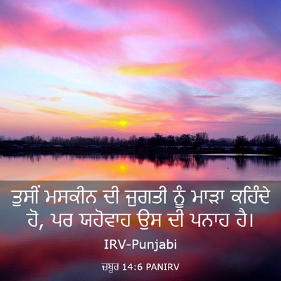 Picture 03 - ਜ਼ਬੂਰ 14:6 PANIRV - ਤੁਸੀਂ ਮਸਕੀਨ ਦੀ - Bible Verse Picture