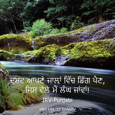 Picture 03 - ਜ਼ਬੂਰ 141:10 PANIRV - ਦੁਸ਼ਟ ਆਪਣੇ ਜਾਲ਼ਾਂ - Bible Verse Picture