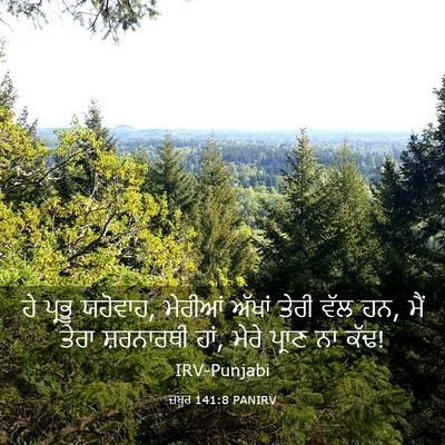 Picture 03 - ਜ਼ਬੂਰ 141:8 PANIRV - ਹੇ ਪ੍ਰਭੂ ਯਹੋਵਾਹ, - Bible Verse Picture