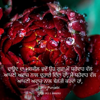 Picture 03 - ਜ਼ਬੂਰ 142:1 PANIRV - ਦਾਊਦ ਦਾ ਮਸ਼ਕੀਲ - Bible Verse Picture