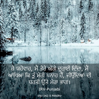 Picture 03 - ਜ਼ਬੂਰ 142:5 PANIRV - ਹੇ ਯਹੋਵਾਹ, ਮੈਂ ਤੇਰੇ - Bible Verse Picture