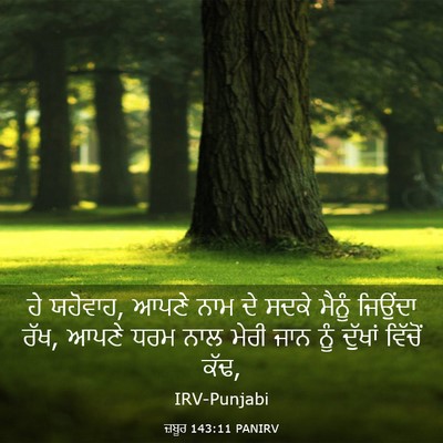 Picture 03 - ਜ਼ਬੂਰ 143:11 PANIRV - ਹੇ ਯਹੋਵਾਹ, ਆਪਣੇ ਨਾਮ - Bible Verse Picture