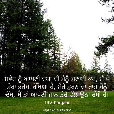 Picture 03 - ਜ਼ਬੂਰ 143:8 PANIRV - ਸਵੇਰ ਨੂੰ ਆਪਣੀ ਦਯਾ - Bible Verse Picture