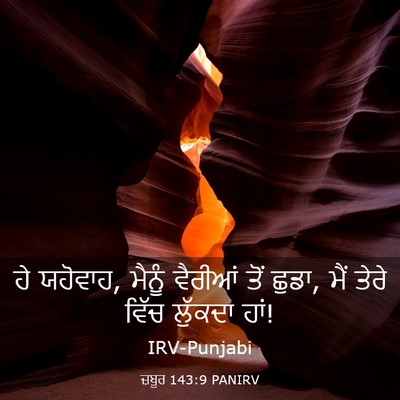Picture 03 - ਜ਼ਬੂਰ 143:9 PANIRV - ਹੇ ਯਹੋਵਾਹ, ਮੈਨੂੰ - Bible Verse Picture