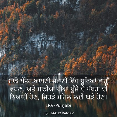 Picture 03 - ਜ਼ਬੂਰ 144:12 PANIRV - ਸਾਡੇ ਪੁੱਤਰ ਆਪਣੀ - Bible Verse Picture