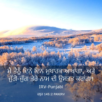 Picture 03 - ਜ਼ਬੂਰ 145:2 PANIRV - ਮੈਂ ਤੈਨੂੰ ਦਿਨੋ ਦਿਨ - Bible Verse Picture