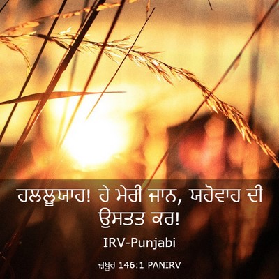 Picture 03 - ਜ਼ਬੂਰ 146:1 PANIRV - ਹਲਲੂਯਾਹ! ਹੇ ਮੇਰੀ - Bible Verse Picture