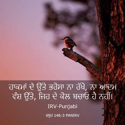 Picture 03 - ਜ਼ਬੂਰ 146:3 PANIRV - ਹਾਕਮਾਂ ਦੇ ਉੱਤੇ - Bible Verse Picture