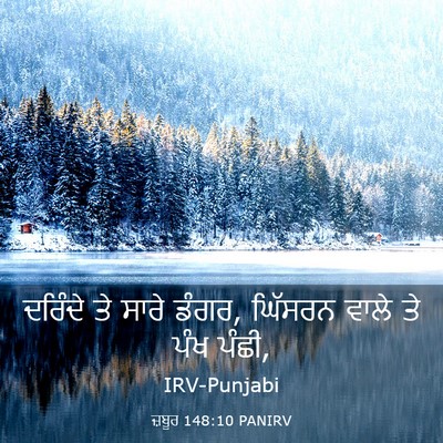 Picture 03 - ਜ਼ਬੂਰ 148:10 PANIRV - ਦਰਿੰਦੇ ਤੇ ਸਾਰੇ - Bible Verse Picture