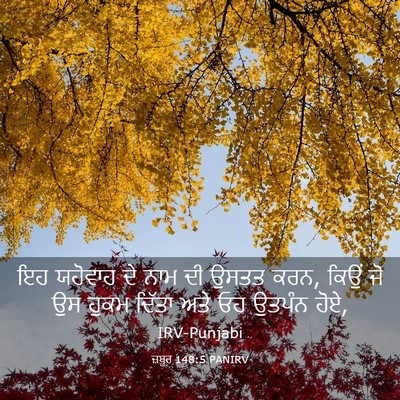 Picture 03 - ਜ਼ਬੂਰ 148:5 PANIRV - ਇਹ ਯਹੋਵਾਹ ਦੇ ਨਾਮ ਦੀ - Bible Verse Picture