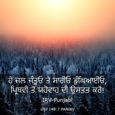 Picture 03 - ਜ਼ਬੂਰ 148:7 PANIRV - ਹੇ ਜਲ ਜੰਤੂਓ ਤੇ - Bible Verse Picture