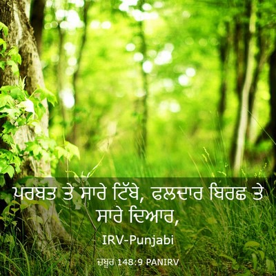 Picture 03 - ਜ਼ਬੂਰ 148:9 PANIRV - ਪਰਬਤ ਤੇ ਸਾਰੇ ਟਿੱਬੇ, - Bible Verse Picture