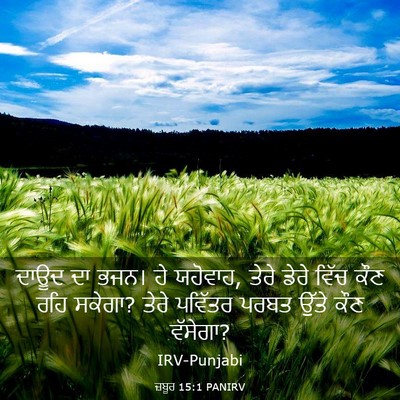 Picture 03 - ਜ਼ਬੂਰ 15:1 PANIRV - ਦਾਊਦ ਦਾ ਭਜਨ। ਹੇ - Bible Verse Picture