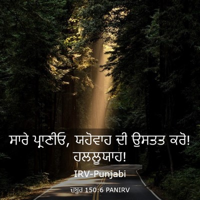 Picture 03 - ਜ਼ਬੂਰ 150:6 PANIRV - ਸਾਰੇ ਪ੍ਰਾਣੀਓ, - Bible Verse Picture