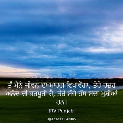 Picture 03 - ਜ਼ਬੂਰ 16:11 PANIRV - ਤੂੰ ਮੈਨੂੰ ਜੀਵਨ ਦਾ - Bible Verse Picture