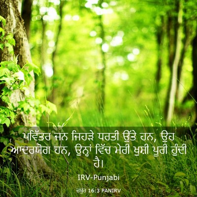 Picture 03 - ਜ਼ਬੂਰ 16:3 PANIRV - ਪਵਿੱਤਰ ਜਨ ਜਿਹੜੇ - Bible Verse Picture