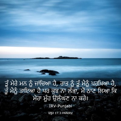 Picture 03 - ਜ਼ਬੂਰ 17:3 PANIRV - ਤੂੰ ਮੇਰੇ ਮਨ ਨੂੰ - Bible Verse Picture