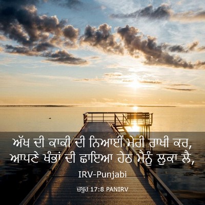 Picture 03 - ਜ਼ਬੂਰ 17:8 PANIRV - ਅੱਖ ਦੀ ਕਾਕੀ ਦੀ - Bible Verse Picture