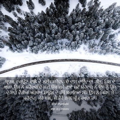 Picture 03 - ਜ਼ਬੂਰ 18:1 PANIRV - ਪ੍ਰਧਾਨ ਵਜਾਉਣ ਵਾਲੇ - Bible Verse Picture