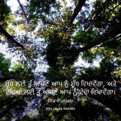 Picture 03 - ਜ਼ਬੂਰ 18:26 PANIRV - ਸ਼ੁੱਧ ਲਈ ਤੂੰ ਆਪਣੇ - Bible Verse Picture