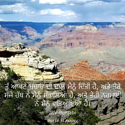 Picture 03 - ਜ਼ਬੂਰ 18:35 PANIRV - ਤੂੰ ਆਪਣੇ ਬਚਾਓ ਦੀ - Bible Verse Picture