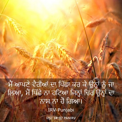 Picture 03 - ਜ਼ਬੂਰ 18:37 PANIRV - ਮੈਂ ਆਪਣੇ ਵੈਰੀਆਂ ਦਾ - Bible Verse Picture