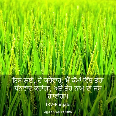 Picture 03 - ਜ਼ਬੂਰ 18:49 PANIRV - ਇਸ ਲਈ, ਹੇ ਯਹੋਵਾਹ, - Bible Verse Picture