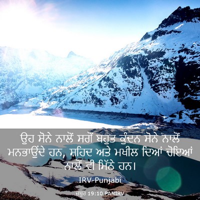 Picture 03 - ਜ਼ਬੂਰ 19:10 PANIRV - ਉਹ ਸੋਨੇ ਨਾਲੋਂ ਸਗੋਂ - Bible Verse Picture