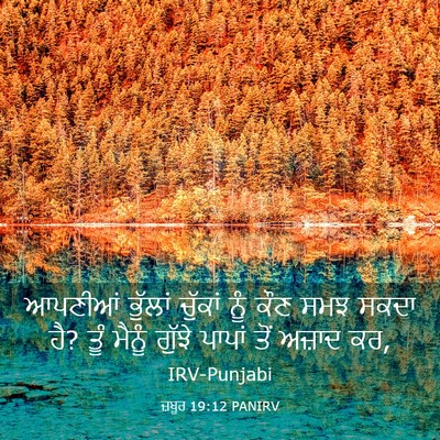Picture 03 - ਜ਼ਬੂਰ 19:12 PANIRV - ਆਪਣੀਆਂ ਭੁੱਲਾਂ - Bible Verse Picture