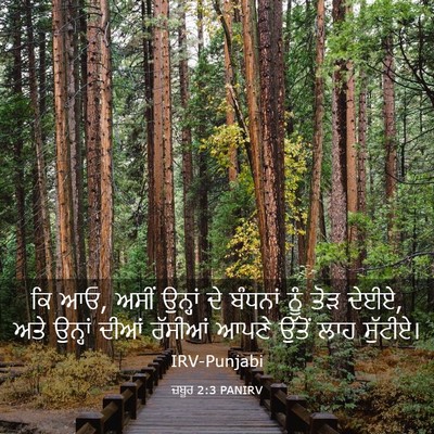 Picture 03 - ਜ਼ਬੂਰ 2:3 PANIRV - ਕਿ ਆਓ, ਅਸੀਂ ਉਨ੍ਹਾਂ - Bible Verse Picture