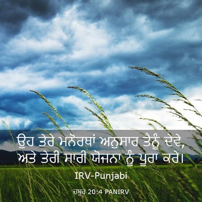 Picture 03 - ਜ਼ਬੂਰ 20:4 PANIRV - ਉਹ ਤੇਰੇ ਮਨੋਰਥਾਂ - Bible Verse Picture