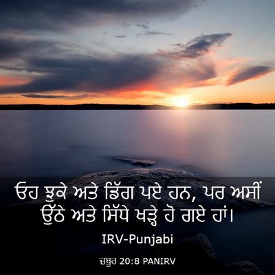 Picture 03 - ਜ਼ਬੂਰ 20:8 PANIRV - ਓਹ ਝੁਕੇ ਅਤੇ ਡਿੱਗ ਪਏ - Bible Verse Picture