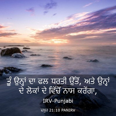 Picture 03 - ਜ਼ਬੂਰ 21:10 PANIRV - ਤੂੰ ਉਨ੍ਹਾਂ ਦਾ ਫਲ - Bible Verse Picture