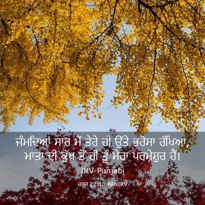 Picture 03 - ਜ਼ਬੂਰ 22:10 PANIRV - ਜੰਮਦਿਆਂ ਸਾਰ ਮੈਂ - Bible Verse Picture