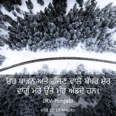 Picture 03 - ਜ਼ਬੂਰ 22:13 PANIRV - ਓਹ ਪਾੜਨ ਅਤੇ ਗੱਜਣ - Bible Verse Picture