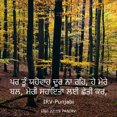 Picture 03 - ਜ਼ਬੂਰ 22:19 PANIRV - ਪਰ ਤੂੰ ਯਹੋਵਾਹ ਦੂਰ - Bible Verse Picture
