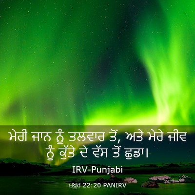 Picture 03 - ਜ਼ਬੂਰ 22:20 PANIRV - ਮੇਰੀ ਜਾਨ ਨੂੰ ਤਲਵਾਰ - Bible Verse Picture