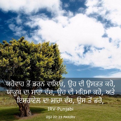 Picture 03 - ਜ਼ਬੂਰ 22:23 PANIRV - ਯਹੋਵਾਹ ਤੋਂ ਡਰਨ - Bible Verse Picture