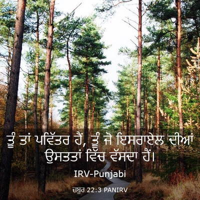 Picture 03 - ਜ਼ਬੂਰ 22:3 PANIRV - ਤੂੰ ਤਾਂ ਪਵਿੱਤਰ ਹੈਂ, - Bible Verse Picture