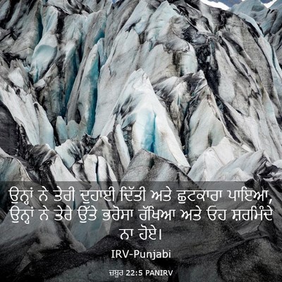 Picture 03 - ਜ਼ਬੂਰ 22:5 PANIRV - ਉਨ੍ਹਾਂ ਨੇ ਤੇਰੀ - Bible Verse Picture