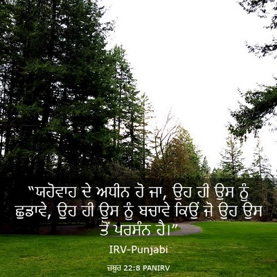 Picture 03 - ਜ਼ਬੂਰ 22:8 PANIRV - “ਯਹੋਵਾਹ ਦੇ ਅਧੀਨ ਹੋ - Bible Verse Picture