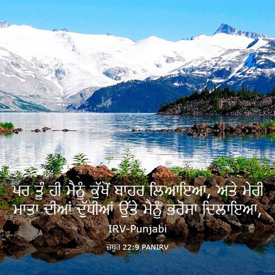 Picture 03 - ਜ਼ਬੂਰ 22:9 PANIRV - ਪਰ ਤੂੰ ਹੀ ਮੈਨੂੰ - Bible Verse Picture