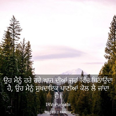 Picture 03 - ਜ਼ਬੂਰ 23:2 PANIRV - ਉਹ ਮੈਨੂੰ ਹਰੇ ਹਰੇ - Bible Verse Picture