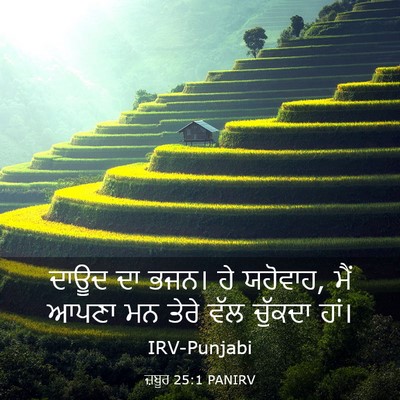 Picture 03 - ਜ਼ਬੂਰ 25:1 PANIRV - ਦਾਊਦ ਦਾ ਭਜਨ। ਹੇ - Bible Verse Picture